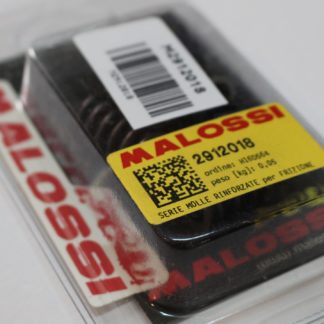 Malossi Kupplungsfedern