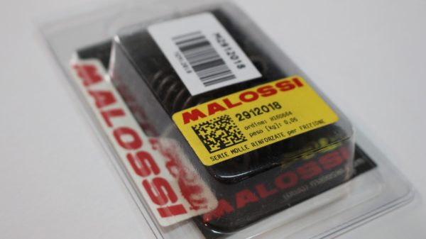 Malossi Kupplungsfedern
