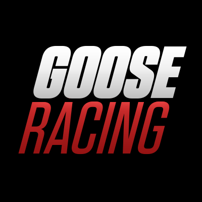 (c) Goose-racing.at