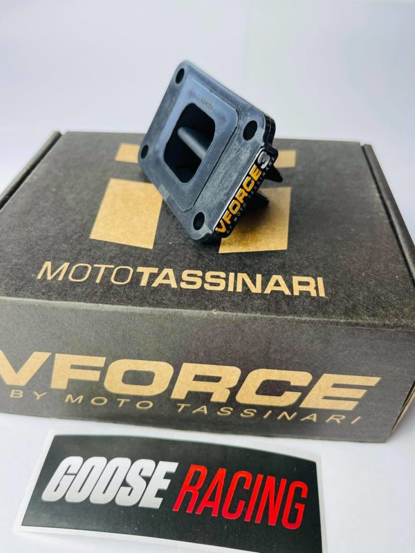 Goose Racing / V-Force 3i (AM6) – Bild 2