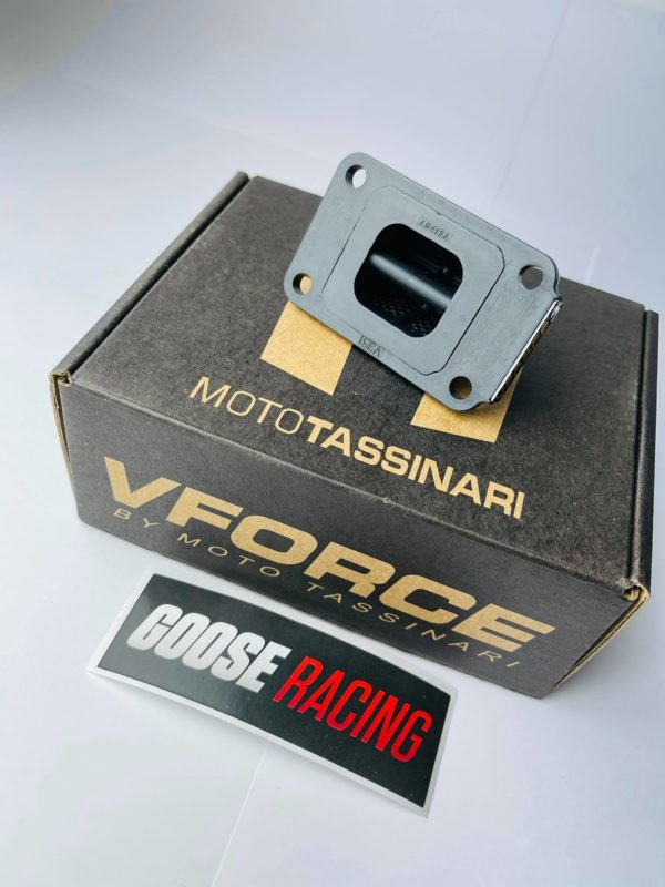 Goose Racing / V-Force 3i (AM6) – Bild 3