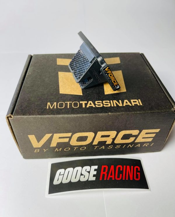 Goose Racing / V-Force 3i (AM6)