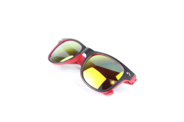 Sonnenbrille / Goose Racing