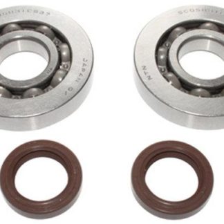 Kurbelwellenlager + Simmerringe / Piaggio Maxi (OEM)